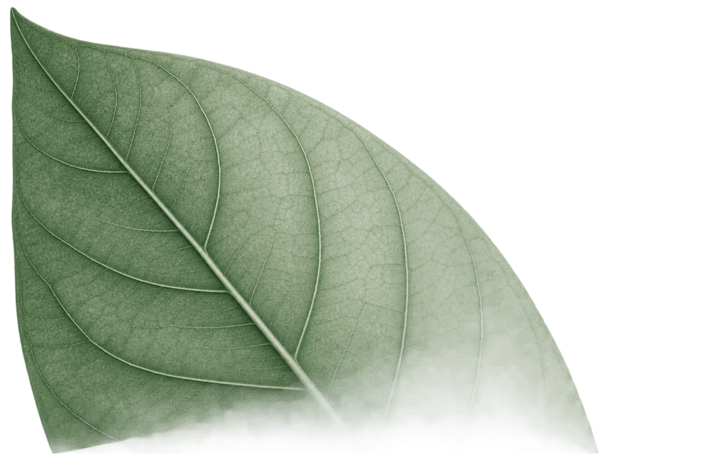 Leaf decoration